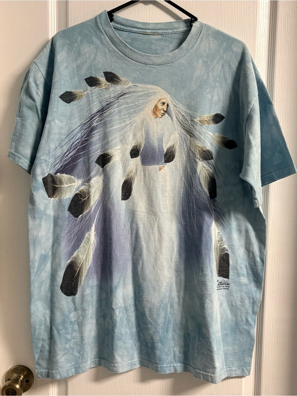 The Mountain Vintage Light Blue Short-Sleeve Tee with Feathered Spirit Graphic